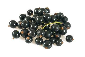 black currant isolated