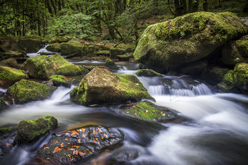 Fototapeta premium Golitha Falls Waterfall, Cornwall