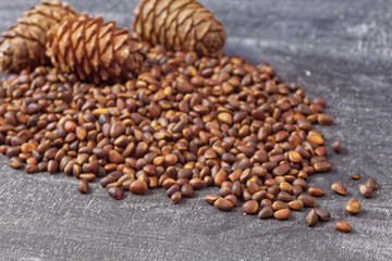 Close up of cedar pine nuts and cones on blackboard background.