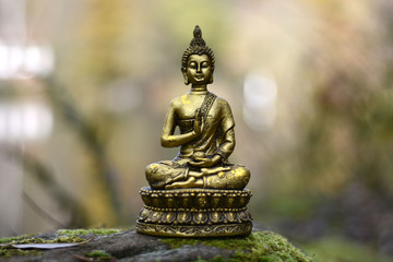 Segnender Buddha in der Natur