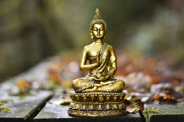 Segnender Buddha in der Natur