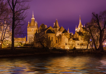 Fototapeta na wymiar Vajdahunyad castle in Budapest Hungary