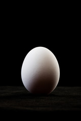 œuf  sur fond noir