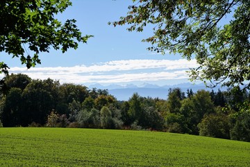 Fototapeta na wymiar Feld in Küsnacht in der Nähe vom Ruhmensee und Zollikon 