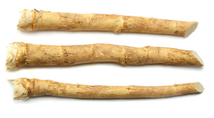 horseradish root isolated on a white background