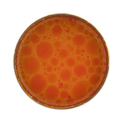 Top view of an opened can of salmon bisque soup isolated on a white background.