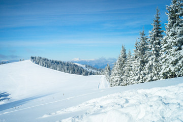 Winter Nature snowy landscape outdoor background.