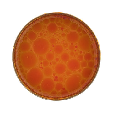 Top view of an opened can of salmon bisque soup isolated on a white background.