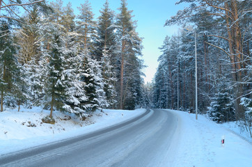 Winter landscape in the forest.