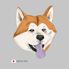 Akita Inu dog portrait and japanese flag. Hand drawn dog head.