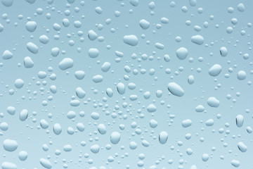 Water Drops, Close Up 