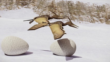 Egg and pterodactyl 3d rendering © satori