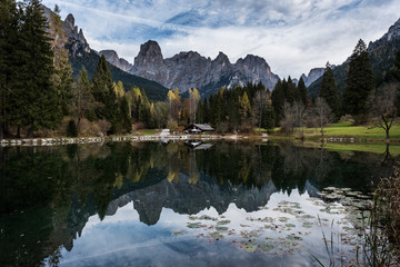 Fototapety na wymiar - Fototapeta24.pl