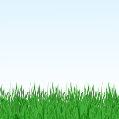 Fototapeta premium Vector illustration green summer field with flowers and grass