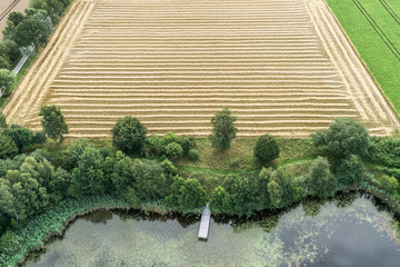 Harvested field with clear parallel furrows behind a heavily overgrown fishing pond, aerial view