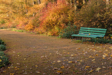 A bench in an autumn park