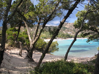 Fototapeta na wymiar Palombaggia - Corsica - France
