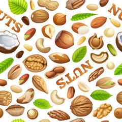 Seamless pattern nuts food grains  of cashew and brazilian nut, coconut and cedar, hazelnut and cashew, almonds and walnut, nutmeg and pecan, peanut and macadamia, pistachio.