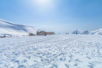  The snow mountains  of Tateyama Kurobe alpine  with blue sky  background is  one of the most important and popular natural place in Toyama Prefecture, Japan.