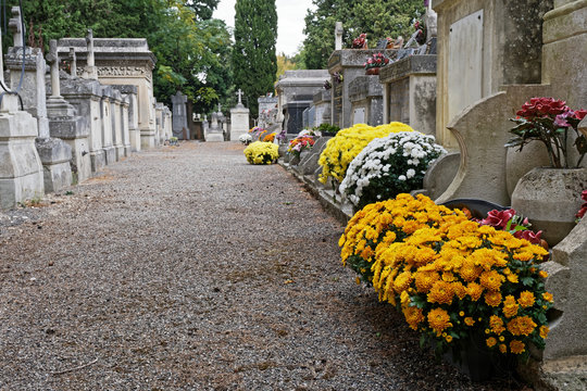 Vieux cimetière