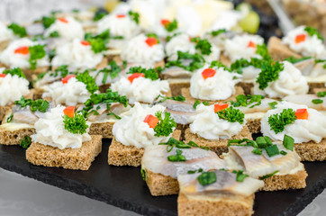 Slices of rye bread wheat bread with herring pieces sprinkled with green onion on a black granite plate. The bacon is milled in a meat grinder on a toast a piece of bread. Buffet snack menu for beer.