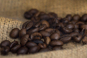 Fototapeta premium Coffee bean