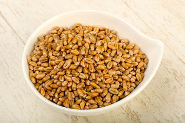 Wheat grains