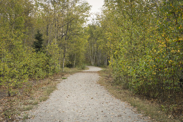Walking and running trail