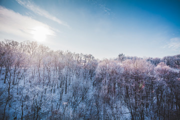 Frosty winter landscape in snowy forest. Sunny summits of the trees in a snow covered forest and blue clear sky. Winter landscape. Nature background