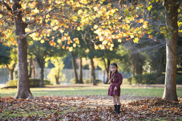 Little girl playing with fallen leaves