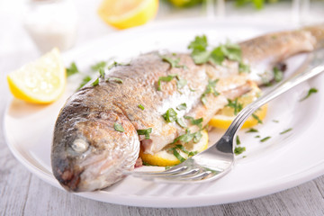 grilled fish