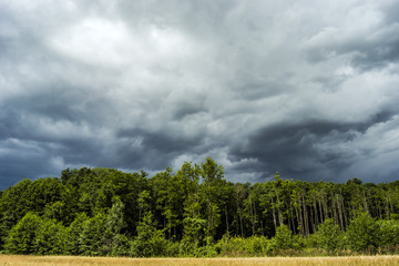 Rain clouds over the forest
