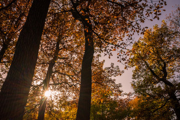 Traumhafter Herbsttag im Harz