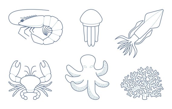 The outlines of sea creatures