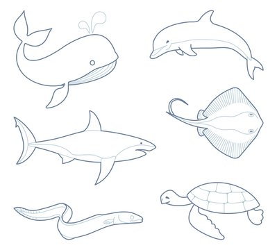 The outlines of sea creatures