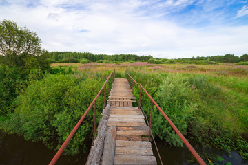 Fototapeta na wymiar Bridge to nature: a midsummer landscape