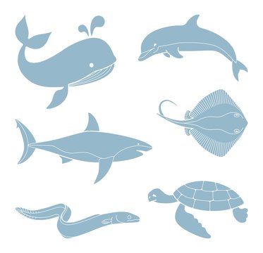 The silhouettes of sea creatures
