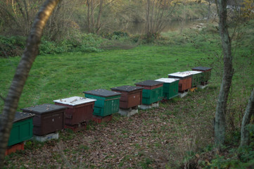 beehive in the countryside