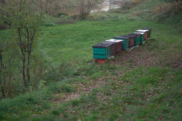 beehive in the countryside