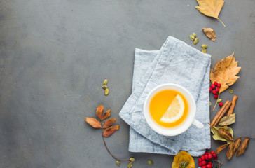 Autumn background with hot lemon tea, yellowed leaves, spices, berries, cinnamon, seeds. Perfect sunny autumn. A autumn gray concrete background for you. Copy Space. Place for text. Flat lay, top view