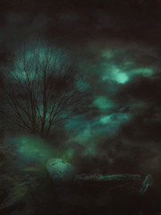 Fototapeta premium Dark Gloomy Landscape