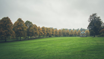 autumn in the park