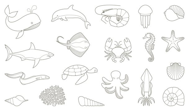 The outlines of fish and other sea creatures