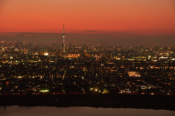 Naklejka premium 東京の夜景