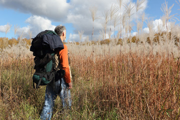 Man with a backpack walking across a field with tall grass in the autumn day