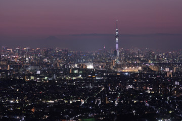 Fototapeta premium 東京の夜景