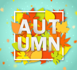 Autumn seasonal banner. Greeting card with word Autumn and multicolored leaves. Modern design poster with colorful foliage of yellow, orange and red color on light blue background.