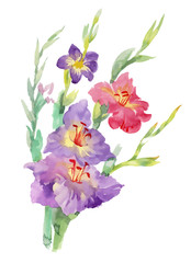 Fototapeta premium Flowers watercolor illustration. Spring and Summer.