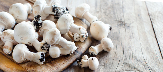 Champignon Mushrooms  on a table