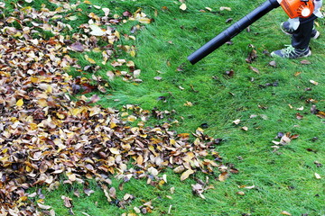 Gardener clearing up the leaves using a leaf blower tool